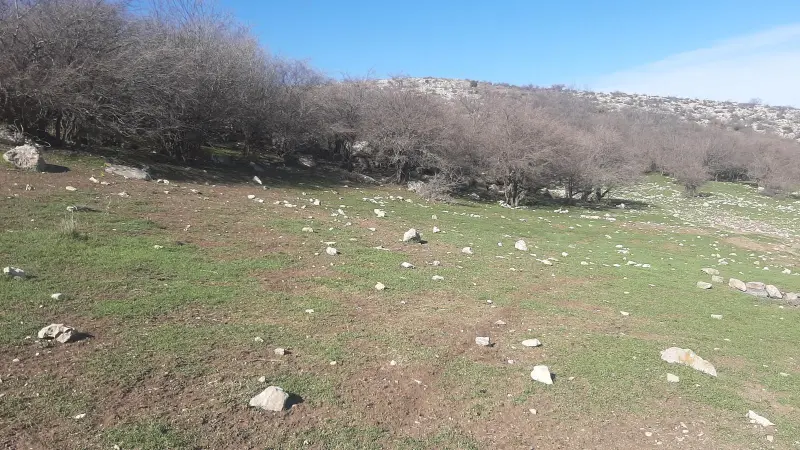 چشمه جهانگیر - تصویر 3