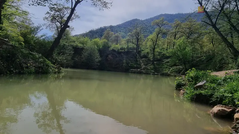 چشمه گل رامیان - تصویر 6