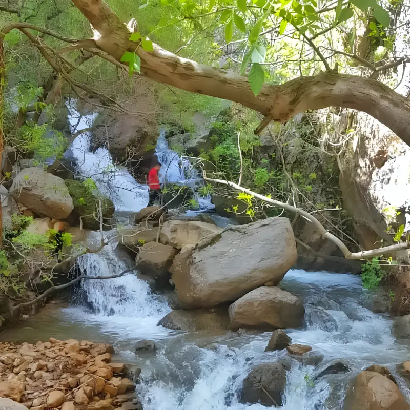آبشار حشوید - تصویر 9