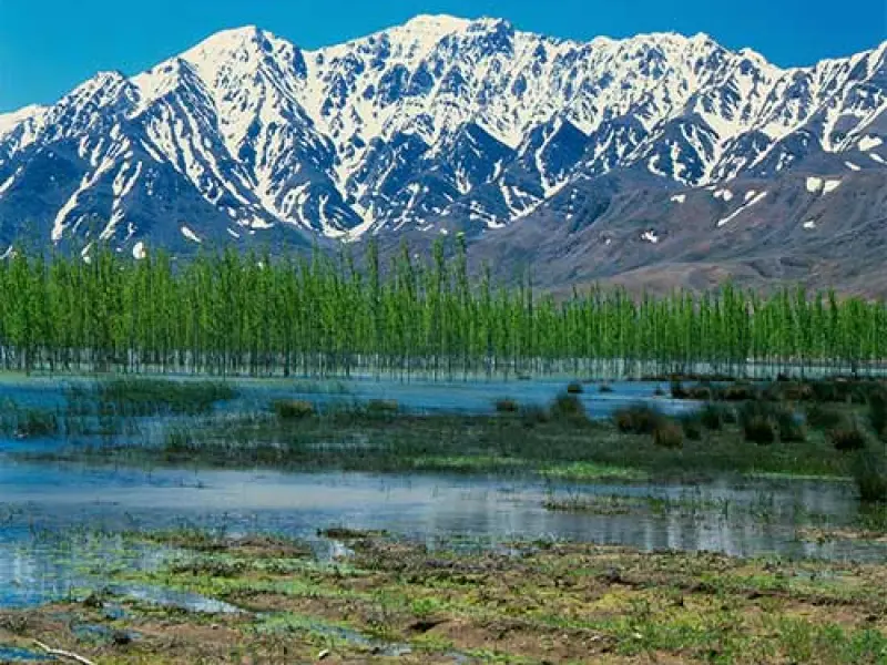 تالاب گندمان - تصویر 5