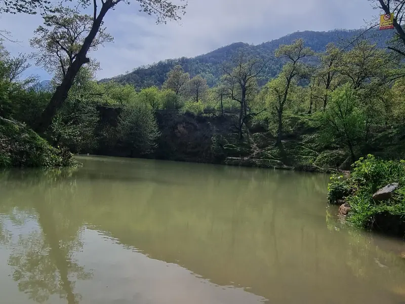 چشمه گل رامیان - تصویر 6