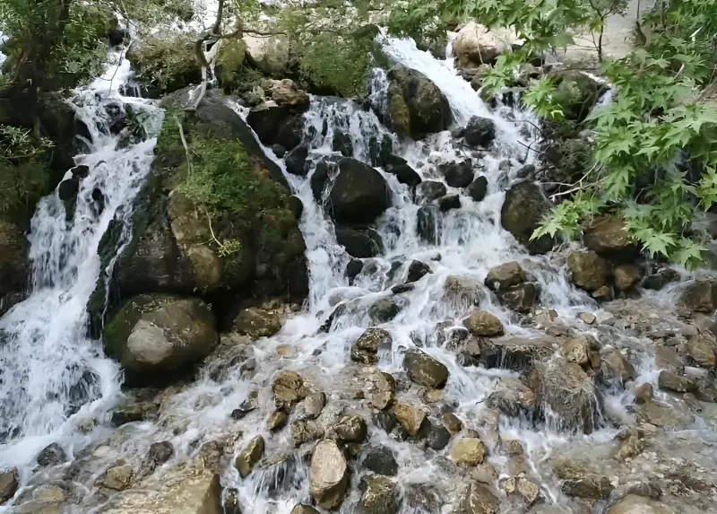 چشمه ناز ونک - تصویر 1
