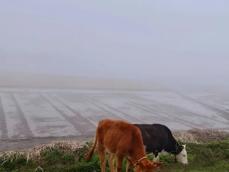 روستای اهلم - تصویر 1