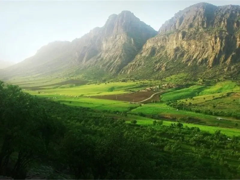 سفید کوه - تصویر 2