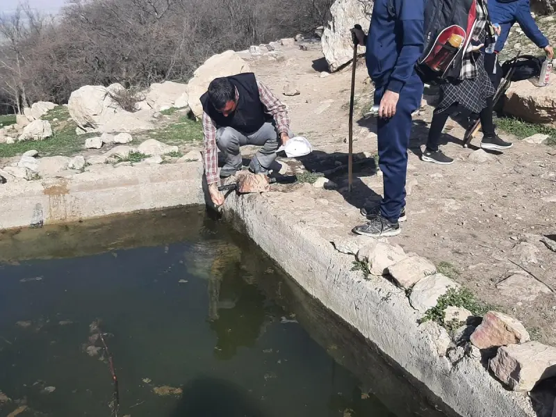 چشمه جهانگیر