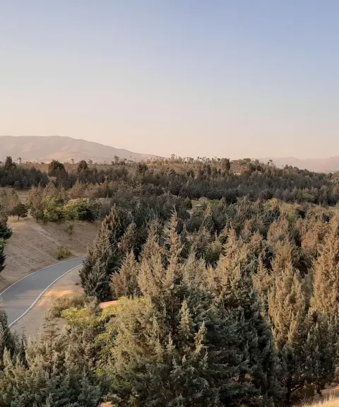 پارک جنگلی سوهانک، تهران