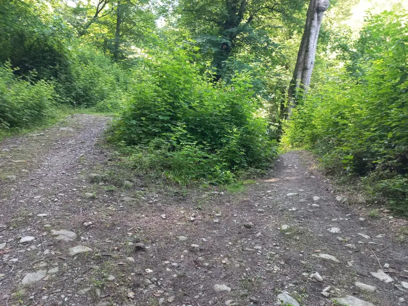 آبشار بزبنه - تصویر 1