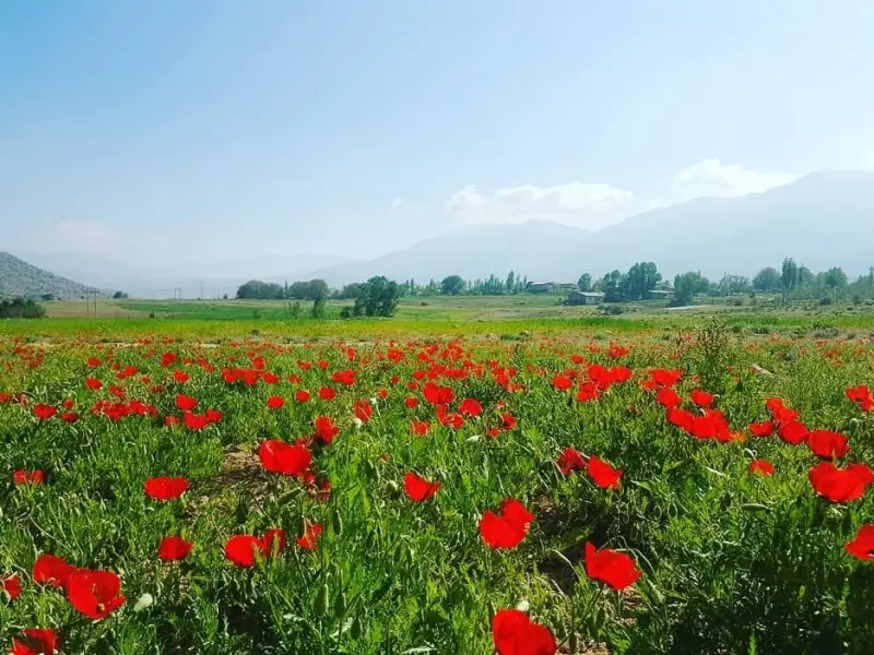 روستای پشرت - تصویر 3