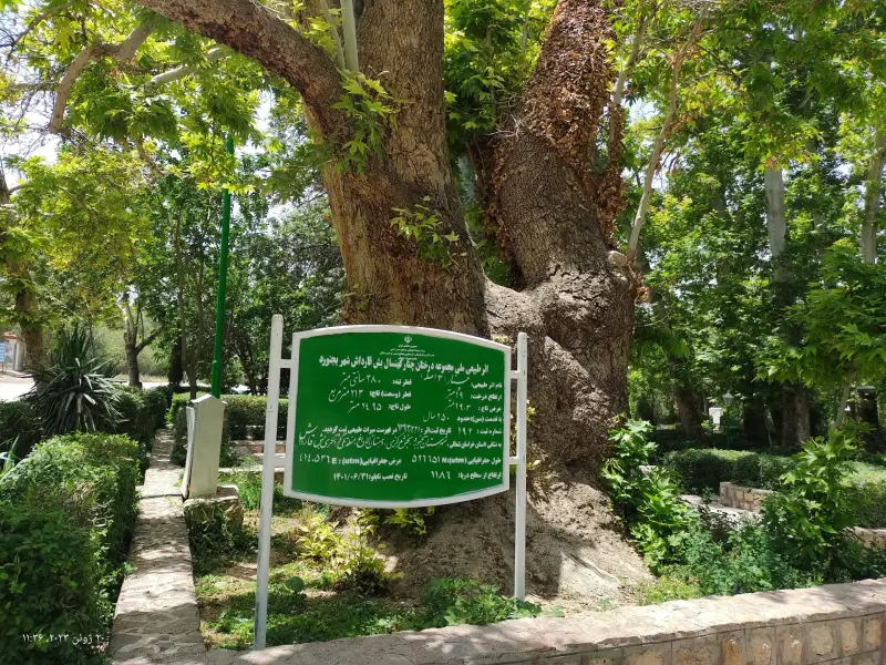 گردشگاه بش قارداش - تصویر 4