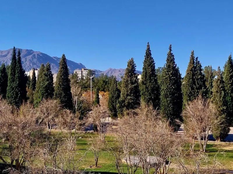 پارک جنگلی بیرجند