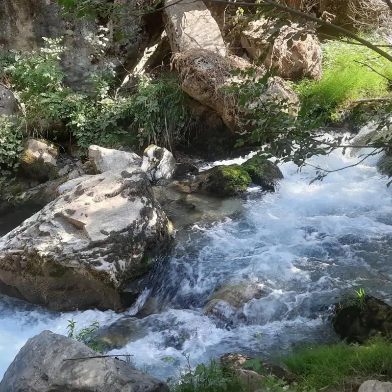 دره خدرآوی - تصویر 4