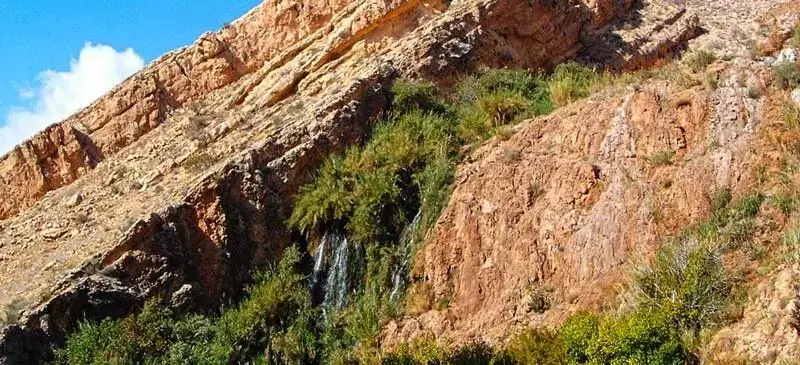 دره آکواریوم - تصویر 4