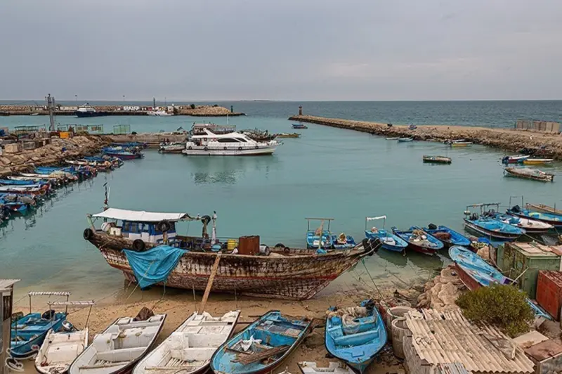 جزیره خارک - تصویر 2