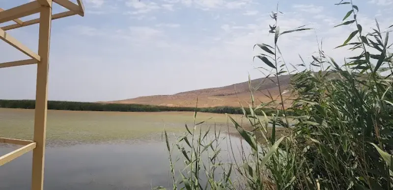 تالاب کانی برازان‎ - تصویر 11
