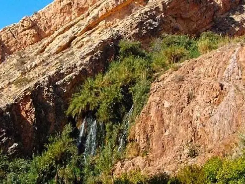 دره آکواریوم - تصویر 4