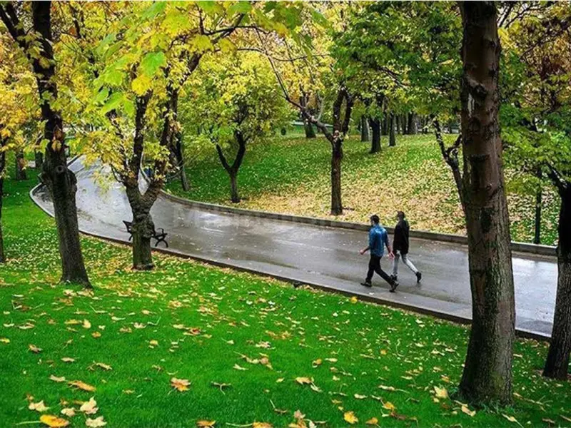 پارک ساعی - تصویر 7