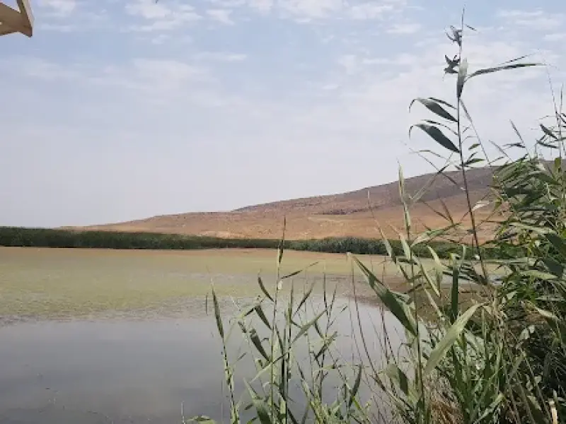 تالاب کانی برازان‎ - تصویر 11