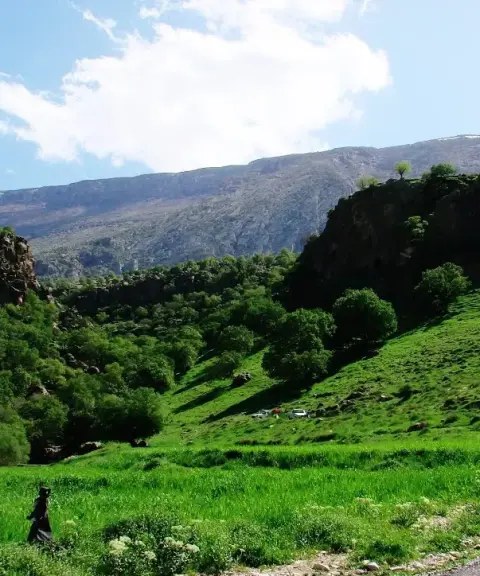 تنگه لارت، ایلام