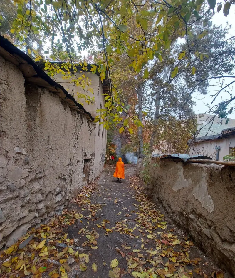 روستای کمرد - تصویر 4