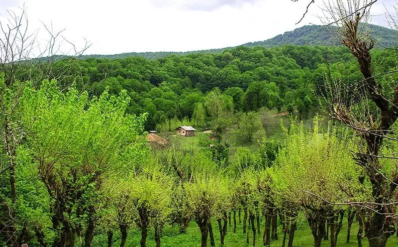 روستای کچا - تصویر 3