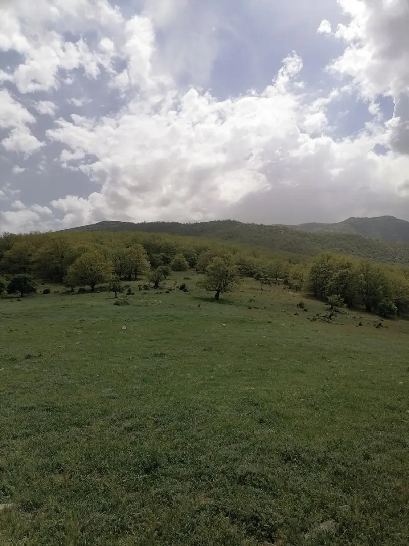 دره کنگره‌ - تصویر 4