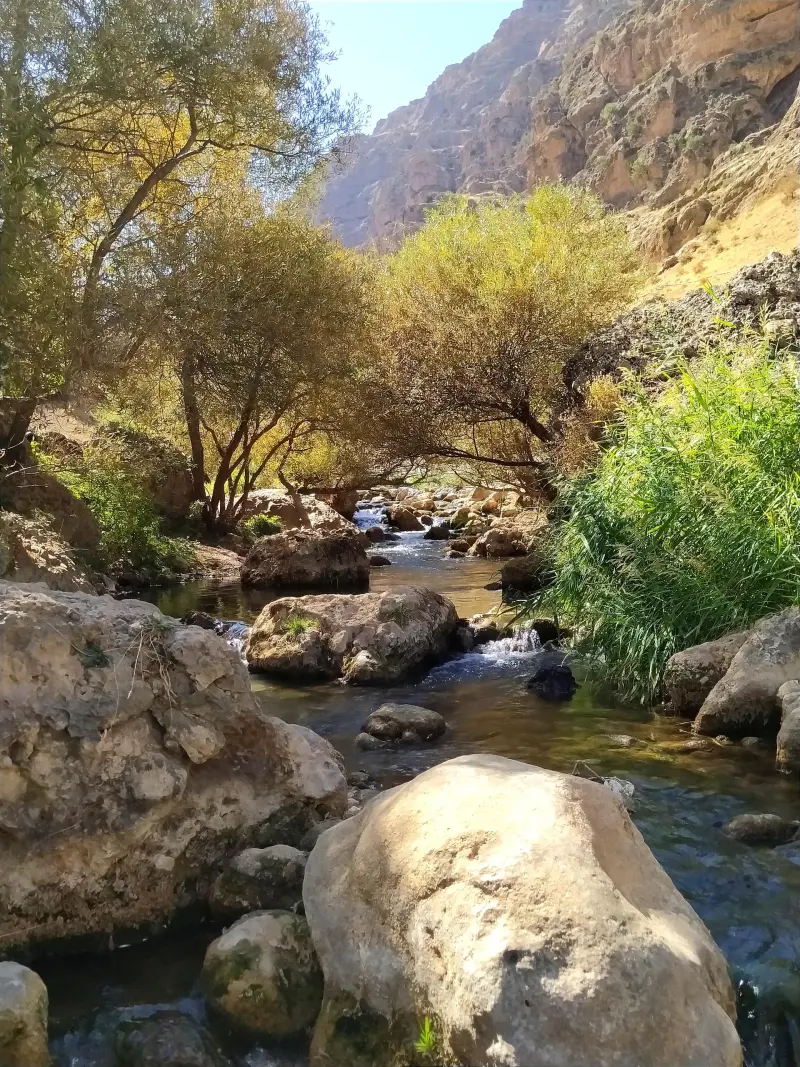 تنگه کپرگه - تصویر 6