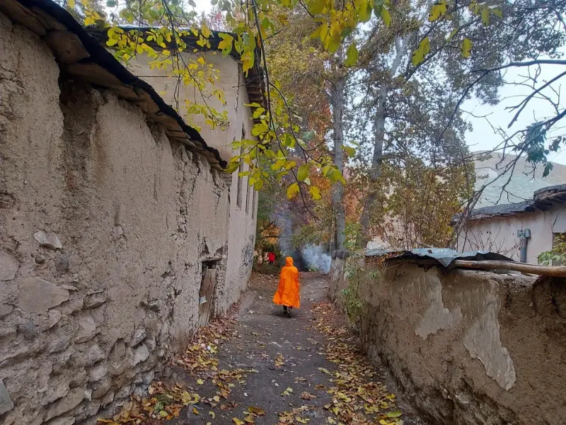 روستای کمرد - تصویر 4