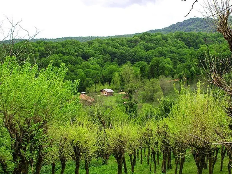 روستای کچا - تصویر 3