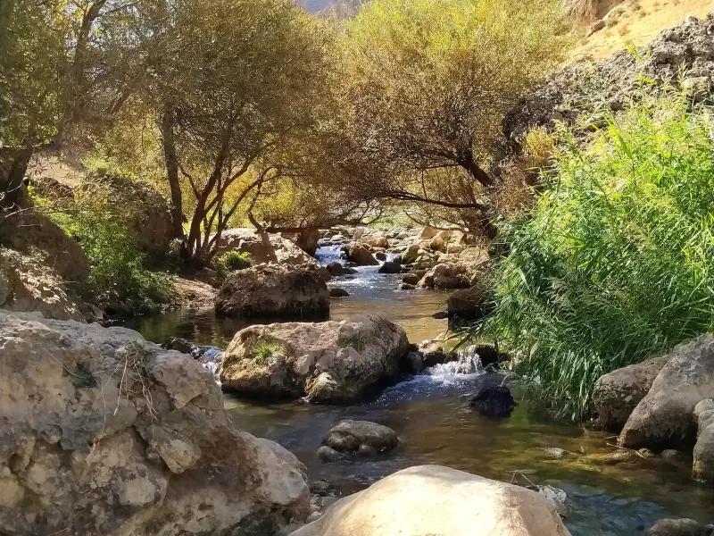 تنگه کپرگه - تصویر 6