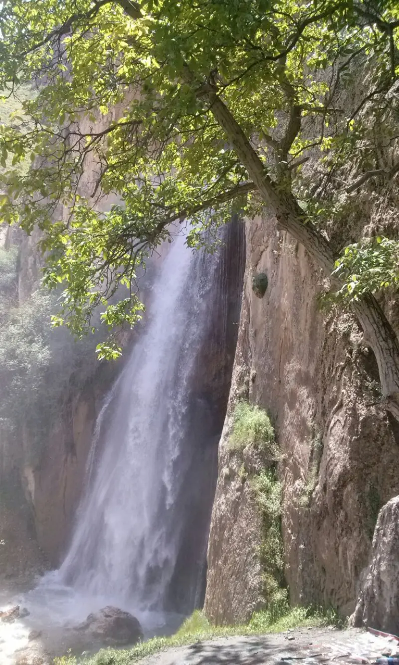 روستای شاهان دشت - تصویر 5