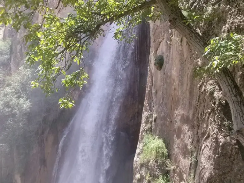 روستای شاهان دشت - تصویر 5