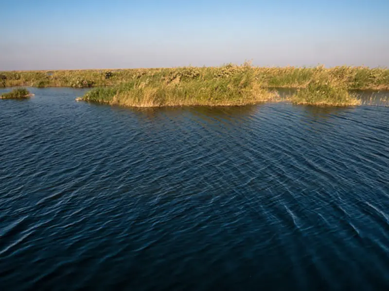 تالاب هورالعظیم - تصویر 3