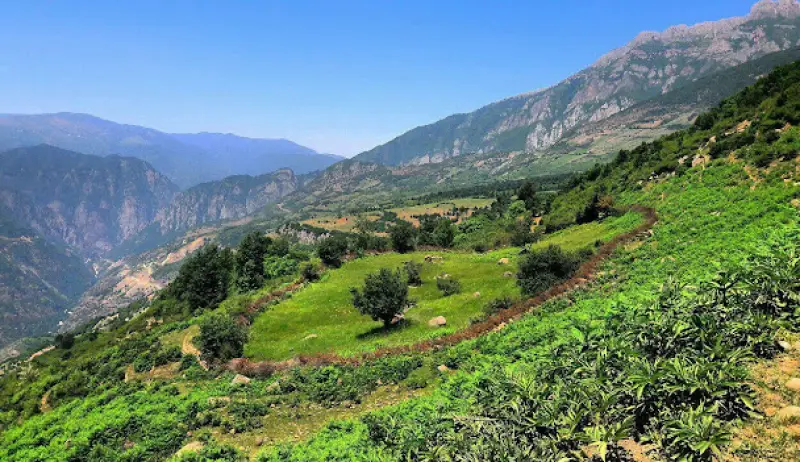 روستای اشکورات - تصویر 1