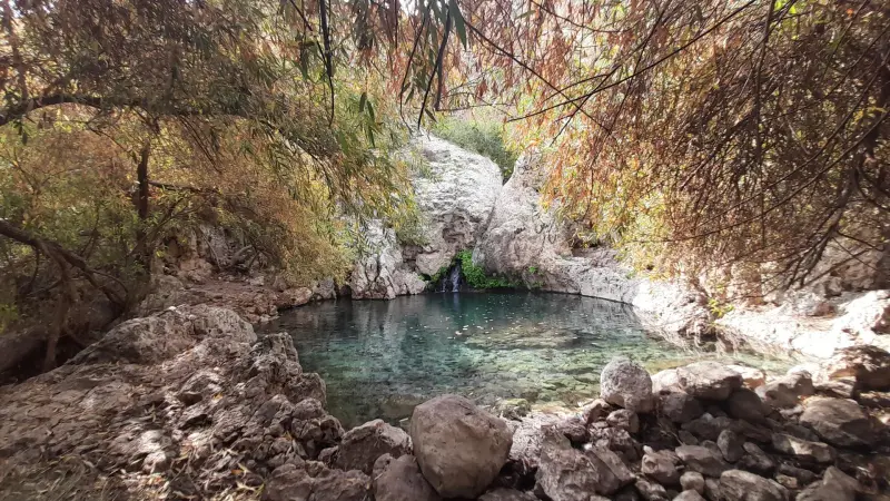 تنگ بنیون - تصویر 3