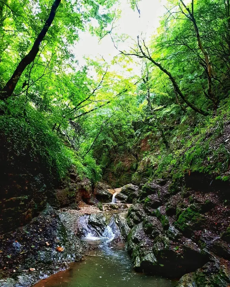آبشار سنگ‌نو - تصویر 7