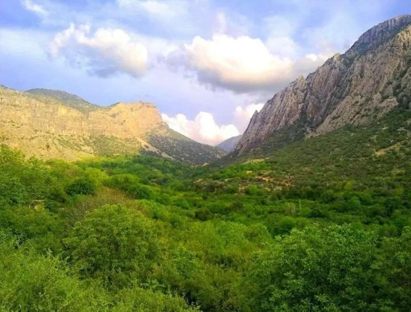 دشت ارژن - تصویر 3