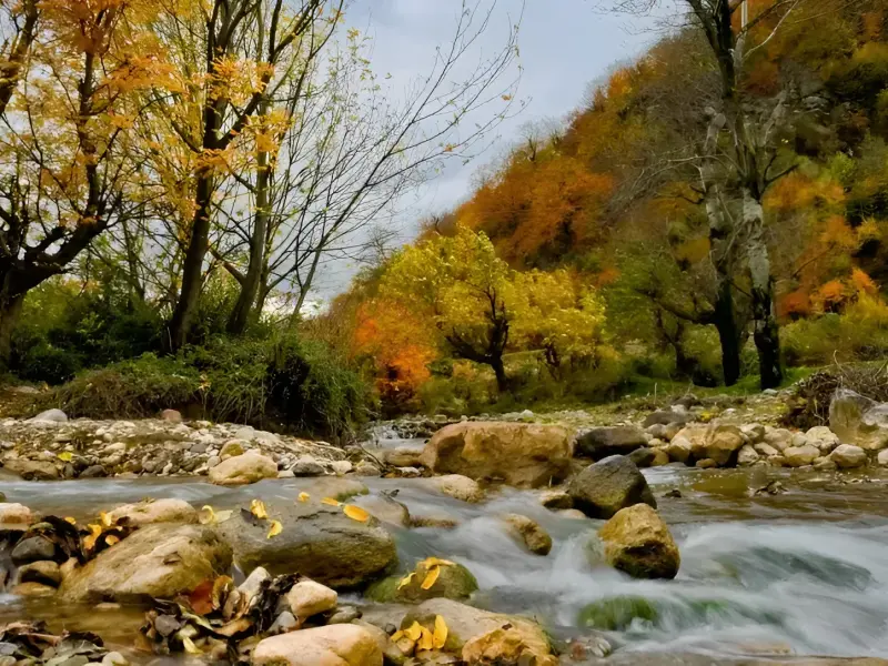 تنگه چهل چای