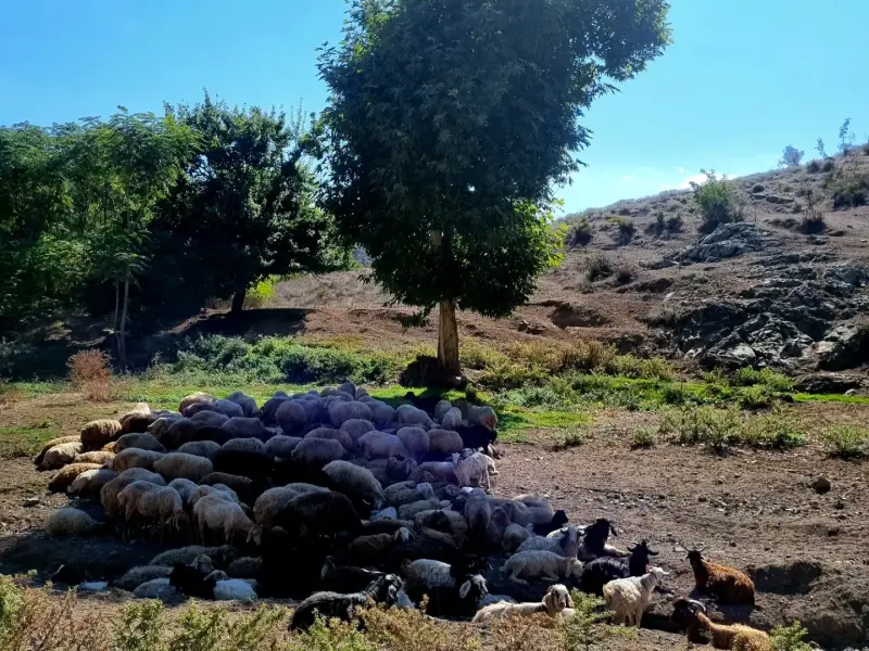 قلعه اویری - تصویر 5