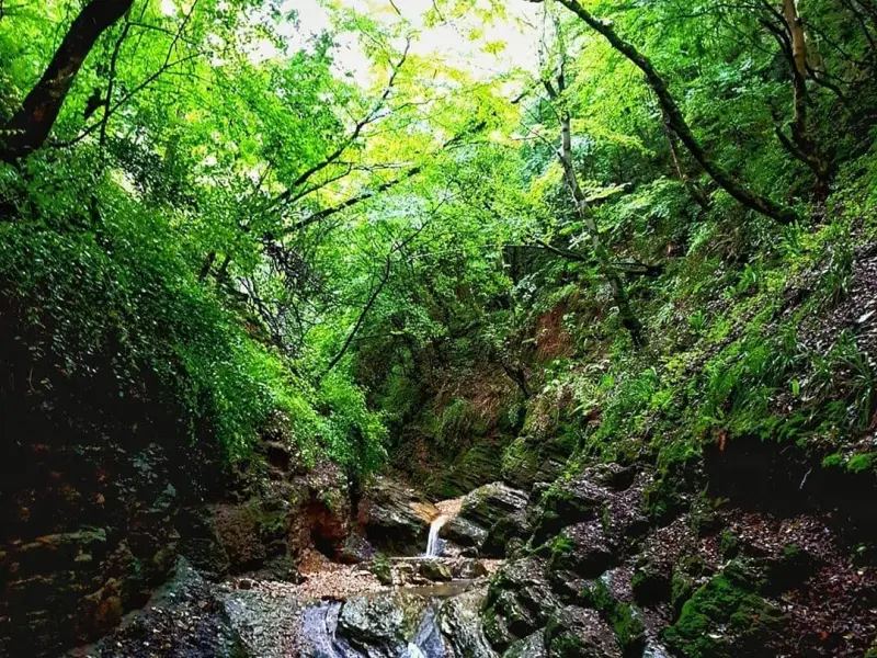 آبشار سنگ‌نو - تصویر 7