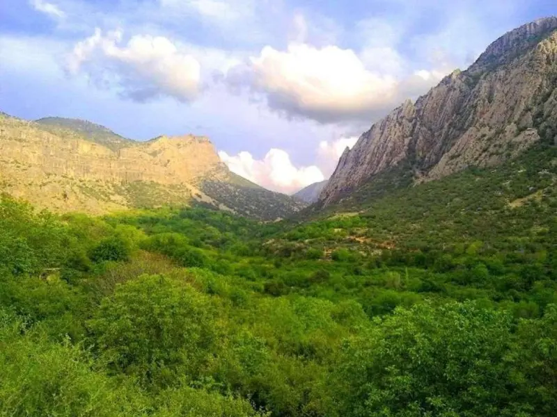 دشت ارژن - تصویر 3
