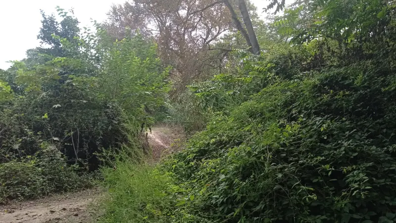 پارک جنگلی زاهدکلا - تصویر 8