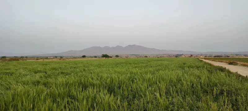 منطقه حفاظت‌شده مند - تصویر 2