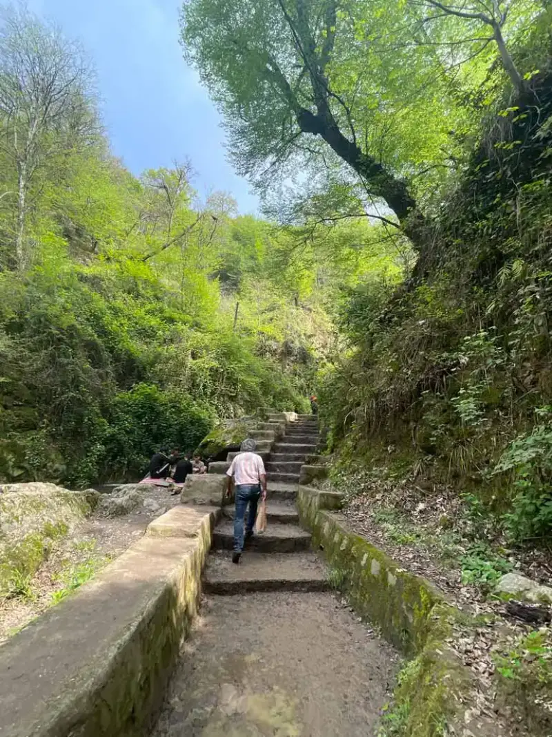 جنگل کبودوال - تصویر 4