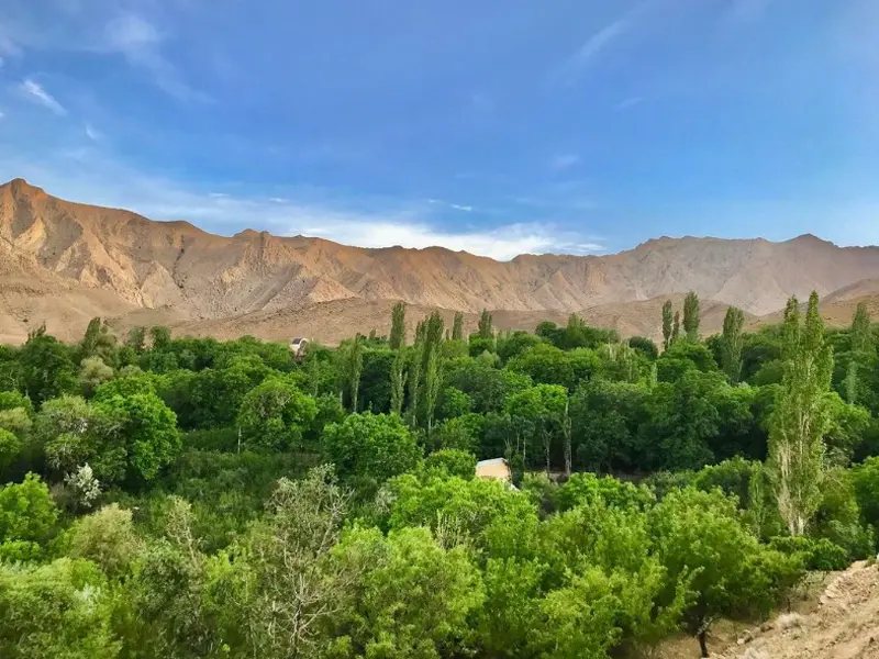 شهمیرزاد - تصویر 1