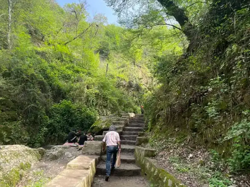 جنگل کبودوال - تصویر 4