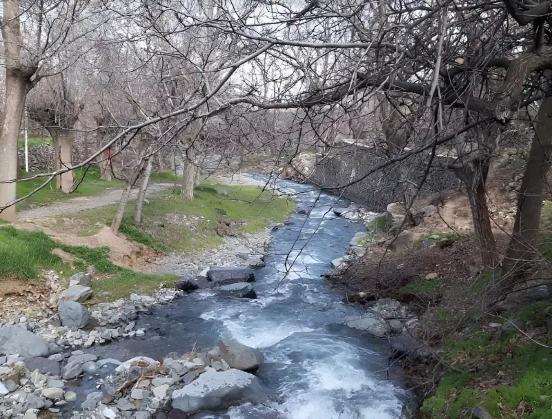 روستای طامه - تصویر 2