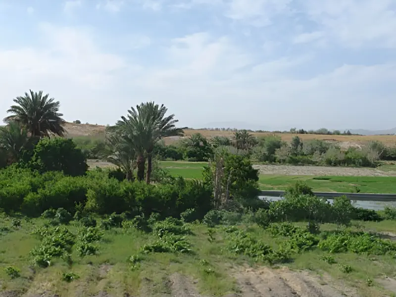 روستای لادیز