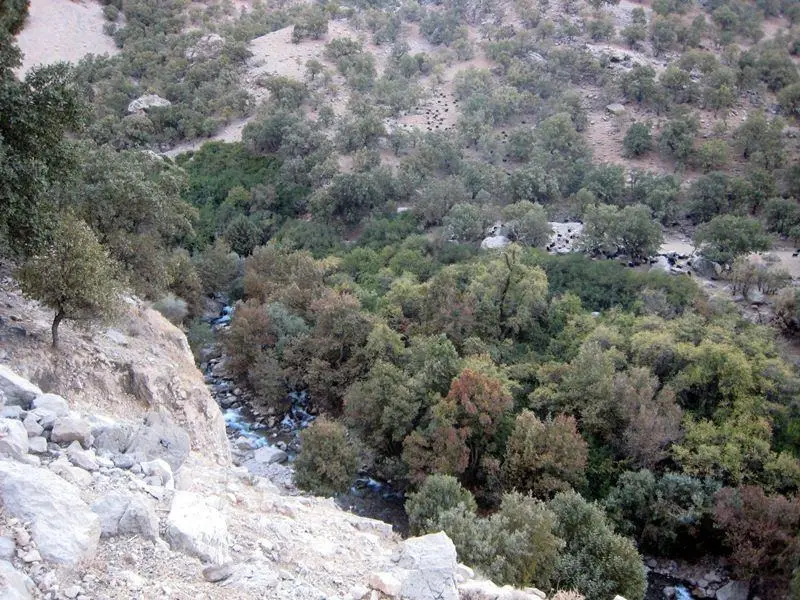 تنگ تهی