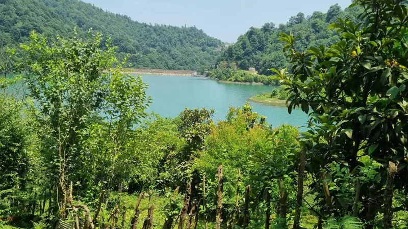 دریاچه سد میجران - تصویر 6
