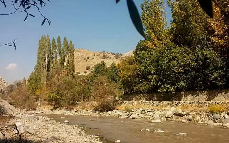 منطقه حفاظت ‌شده ورجین - تصویر 6